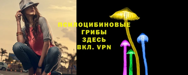 гидропоника Пестово
