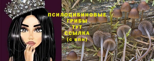 apvp Переславль-Залесский