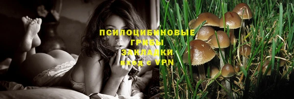 стафф Пересвет