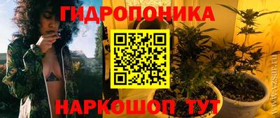гашик Заволжье
