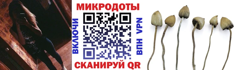Псилоцибиновые грибы GOLDEN TEACHER  Прокопьевск 