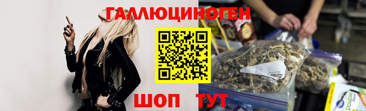 Псилоцибиновые грибы Psilocybine cubensis Прокопьевск